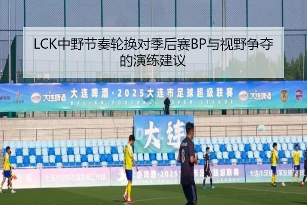 LCK中野节奏轮换对季后赛BP与视野争夺的演练建议